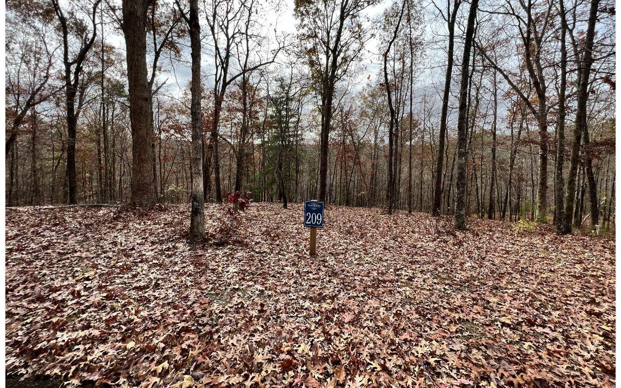 Lt 209 Harris Ridge - Photo 1