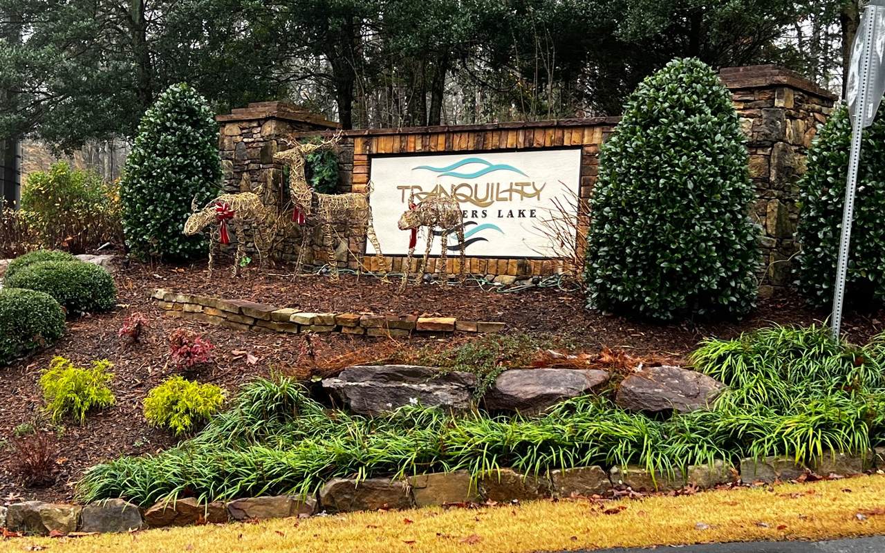 LOT 9 Tranquility Carters - Photo 1
