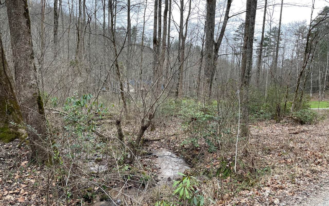LOT 7 Compass Creek - Photo 1