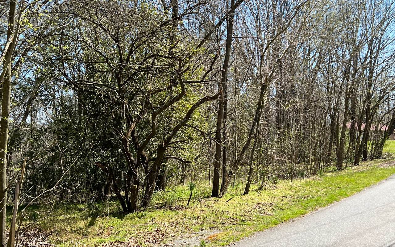 532 Pleasant Gap Rd - Photo 1