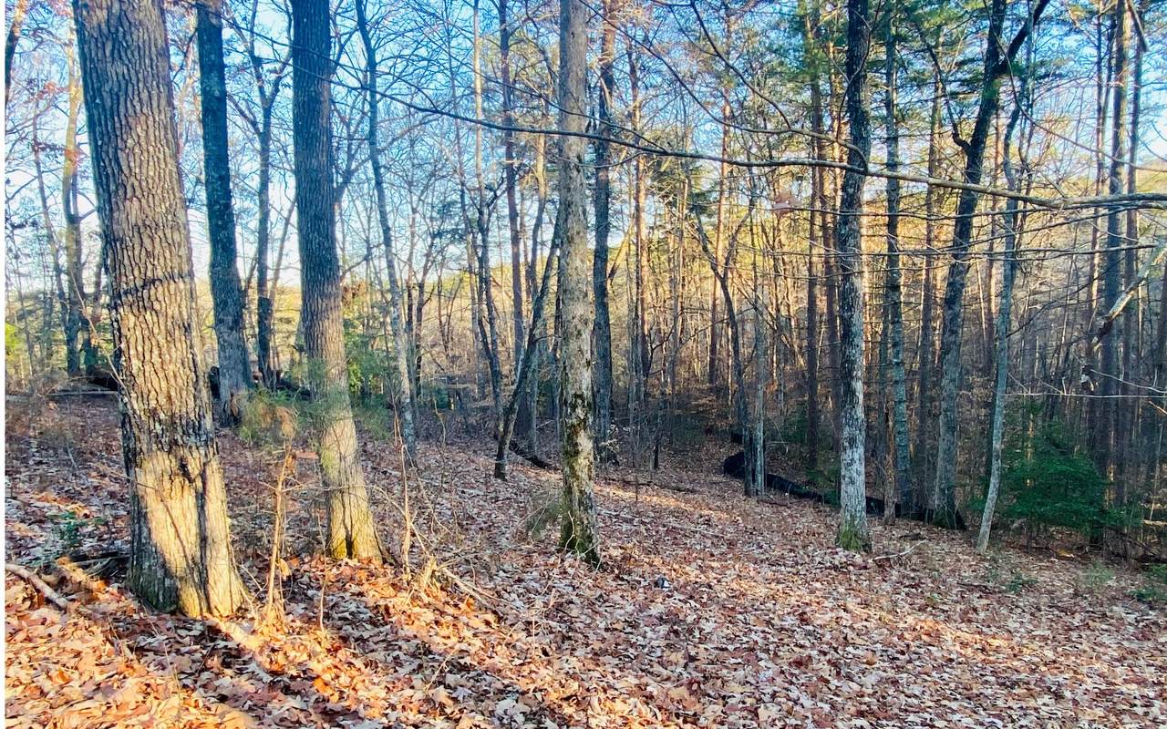LOT19 Arbor Way - Photo 1