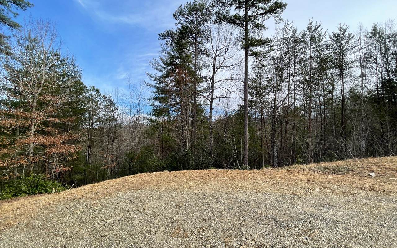 118 Brannon Ridge - Photo 1