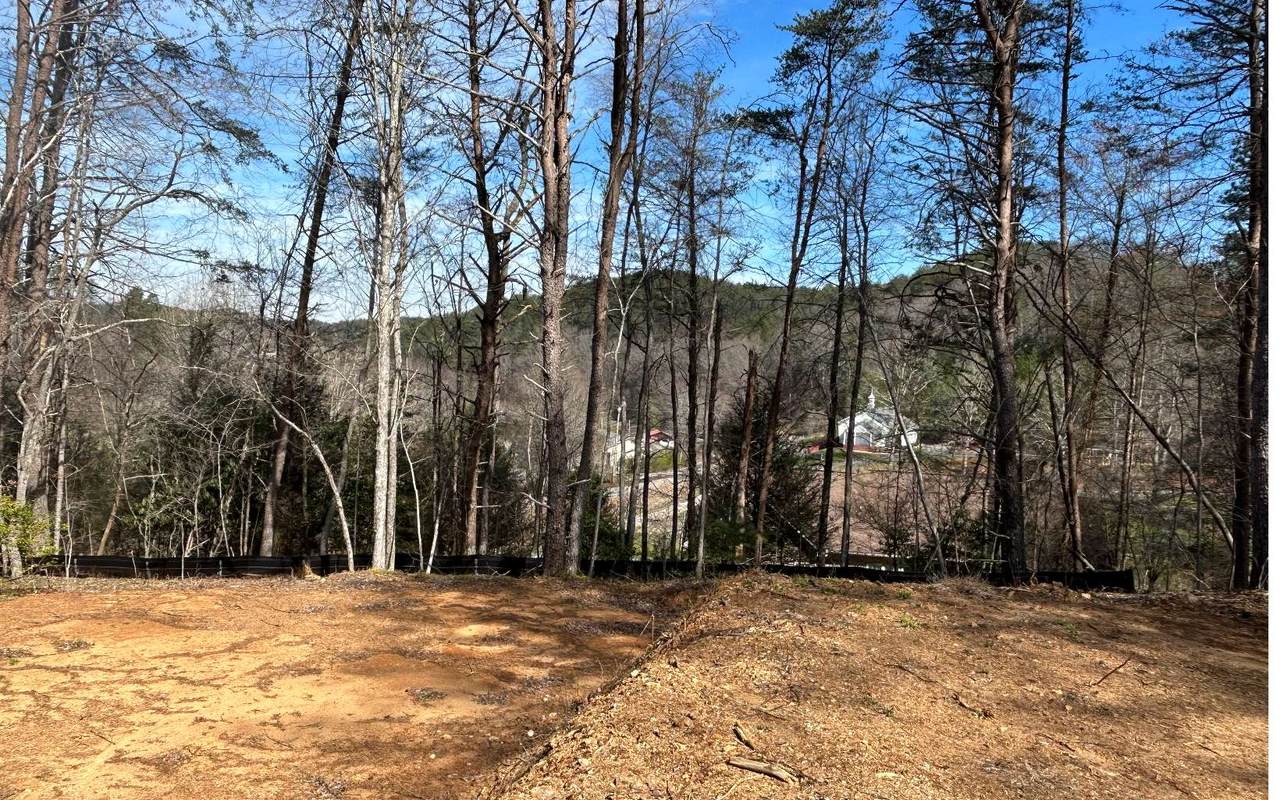 Mc Caysville, GA 30555 Path & Post Real Estate