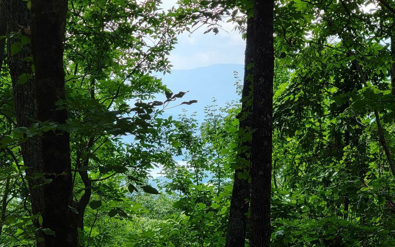 https://bt-photos.global.ssl.fastly.net/negeorgia/1280_boomver_1_328600-2.jpg