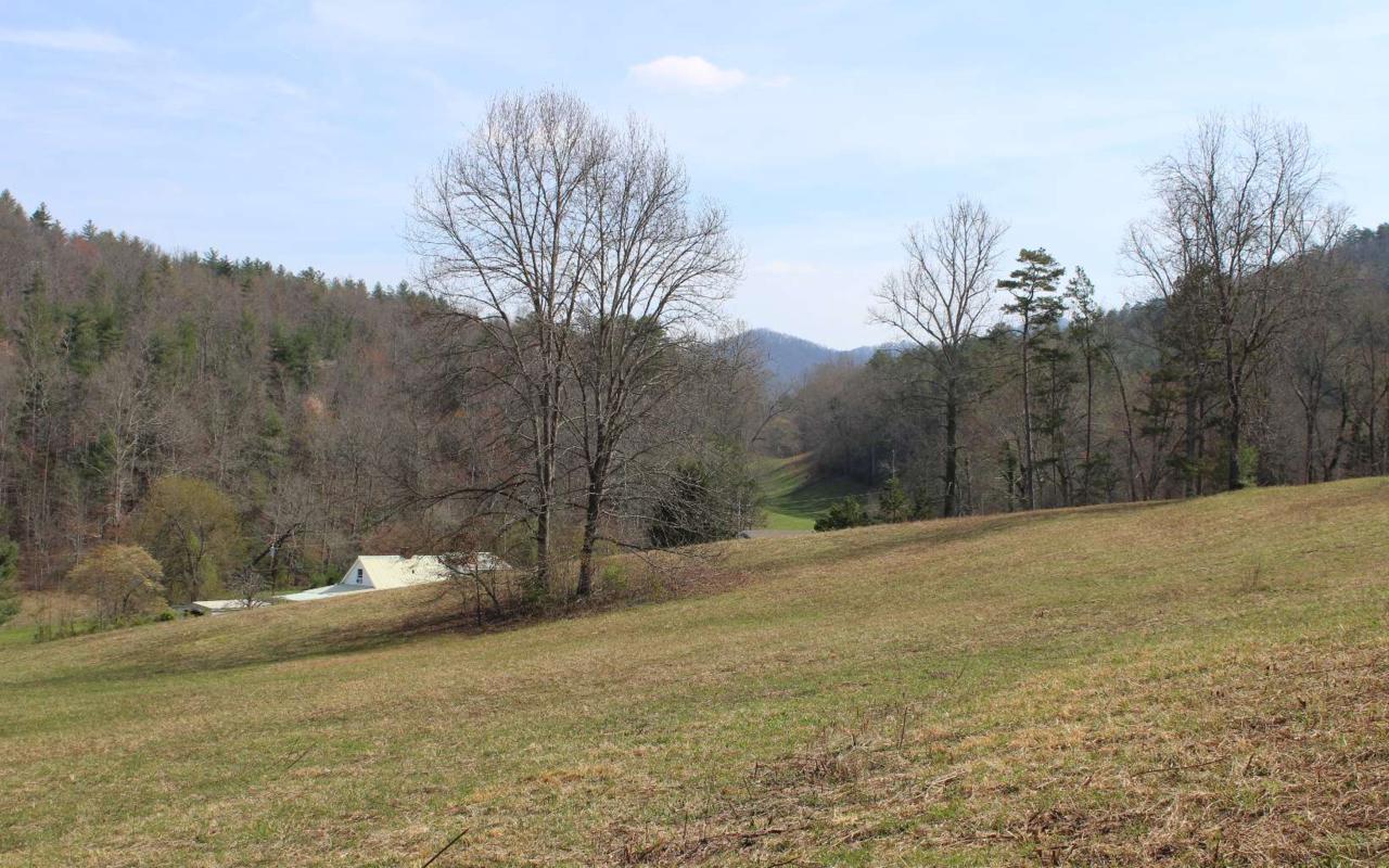 Clark Branch Road - Photo 1