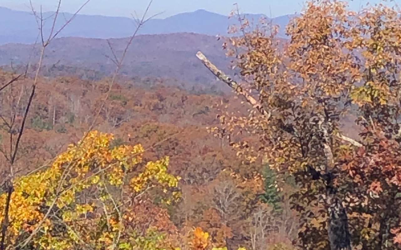 3.63 Fortenberry Ridge Rd - Photo 1