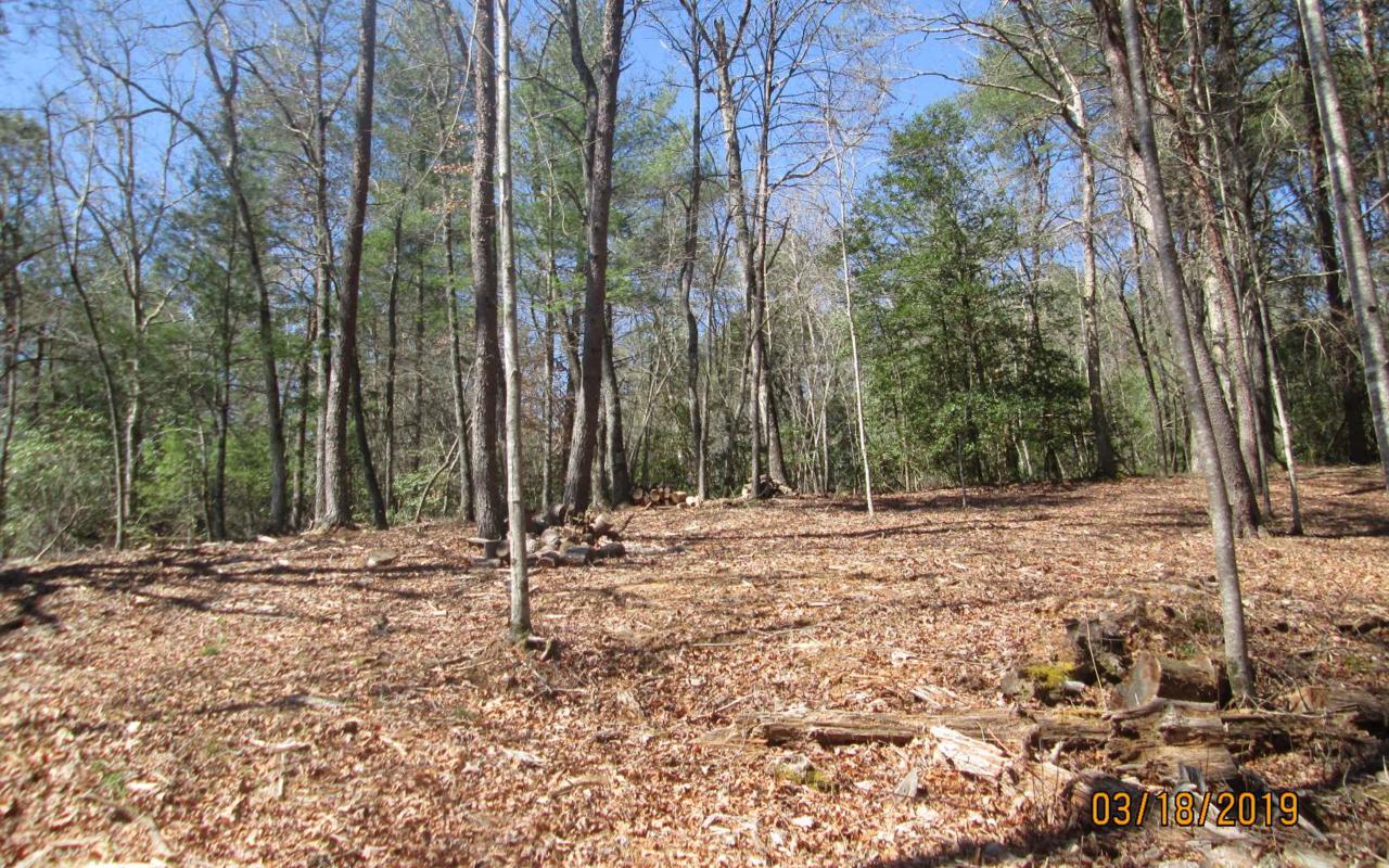 1912 Bristol Rd - Photo 1