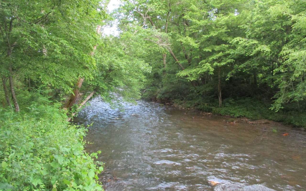 LOT 6 Meadow Creek Dr - Photo 1