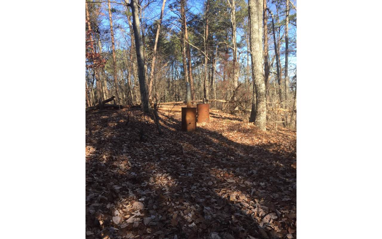 Whitestone Road - Photo 1 Whitestone Road - Photo 1