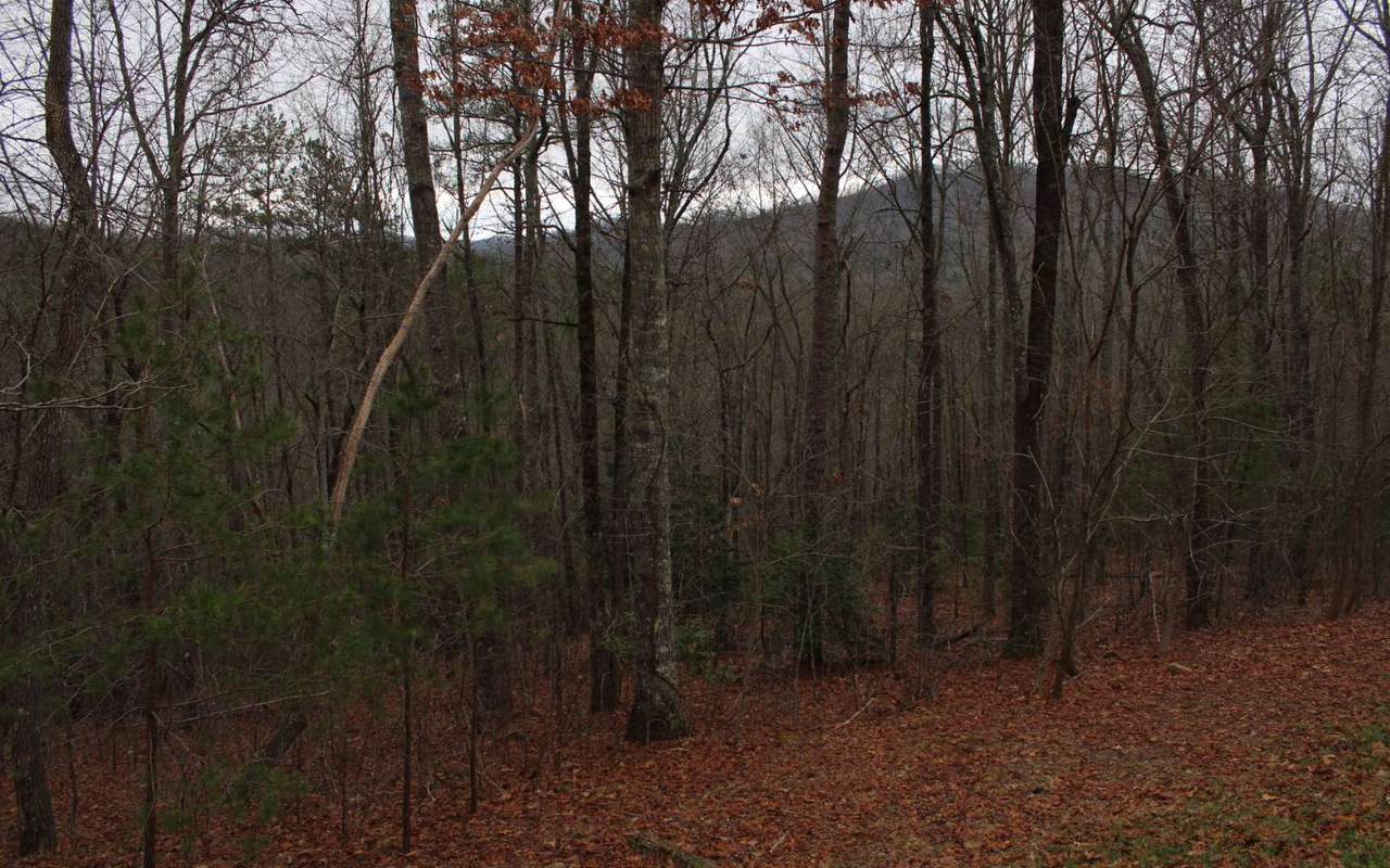 19 Bootleg Trail - Photo 1 19 Bootleg Trail - Photo 1