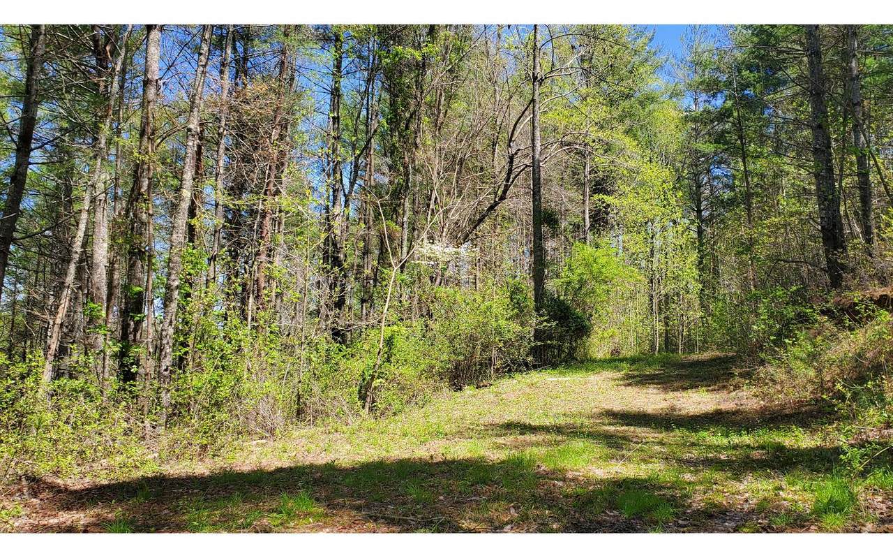 0 Seth Hyatt Rd - Photo 1 0 Seth Hyatt Rd - Photo 1