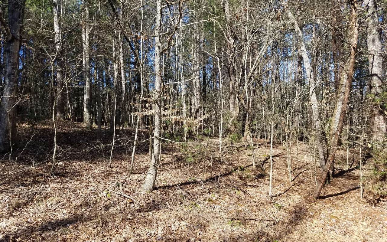 Lot 20 Brookhaven - Photo 1