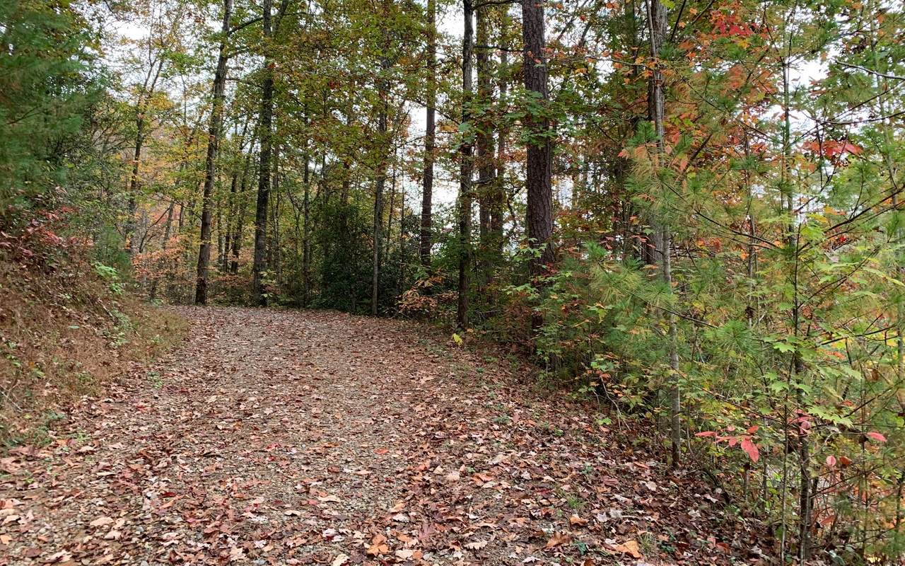 13&14 Laurel Branch Rd - Photo 1