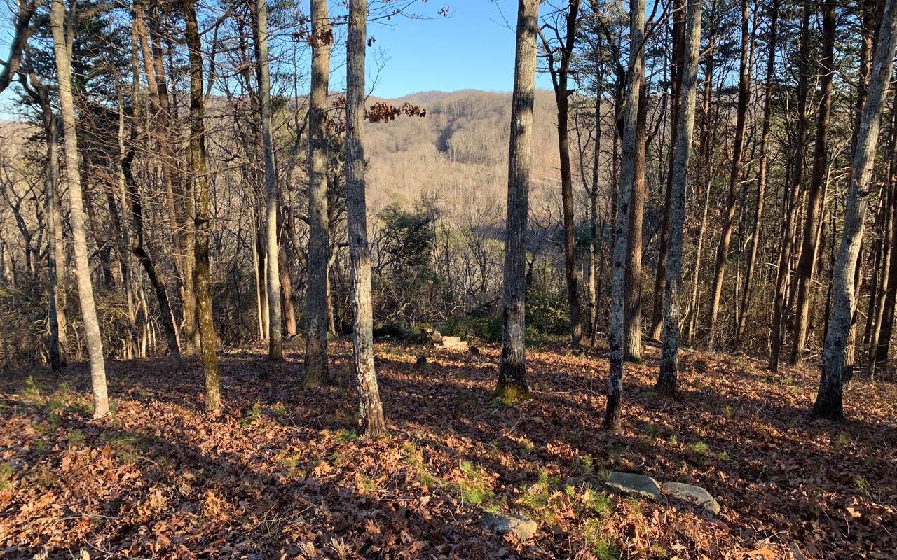 LT205 Stone Cliff Drive - Photo 1