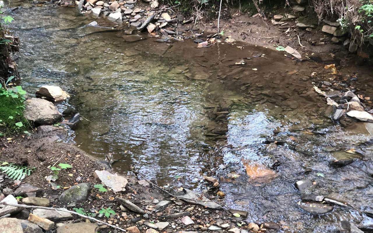 00 Burnt Mountain Road - Photo 1