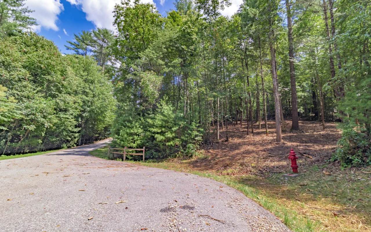 1.16A Bentwood Trail - Photo 1