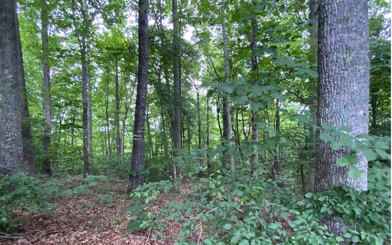 LOT20 Laurel Ln - Photo 1
