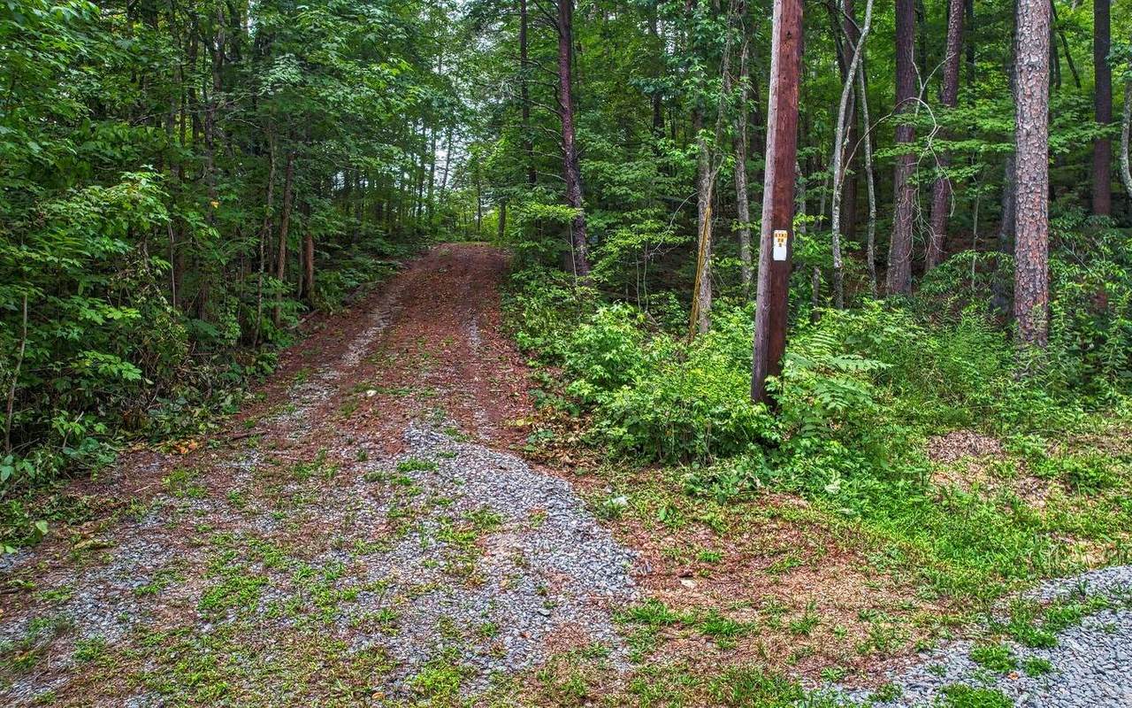 LOT 1 Raleigh's Ridge Dr - Photo 1