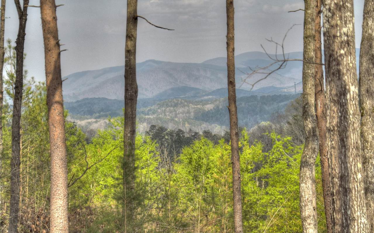 LT30 Summit View Drive - Photo 1