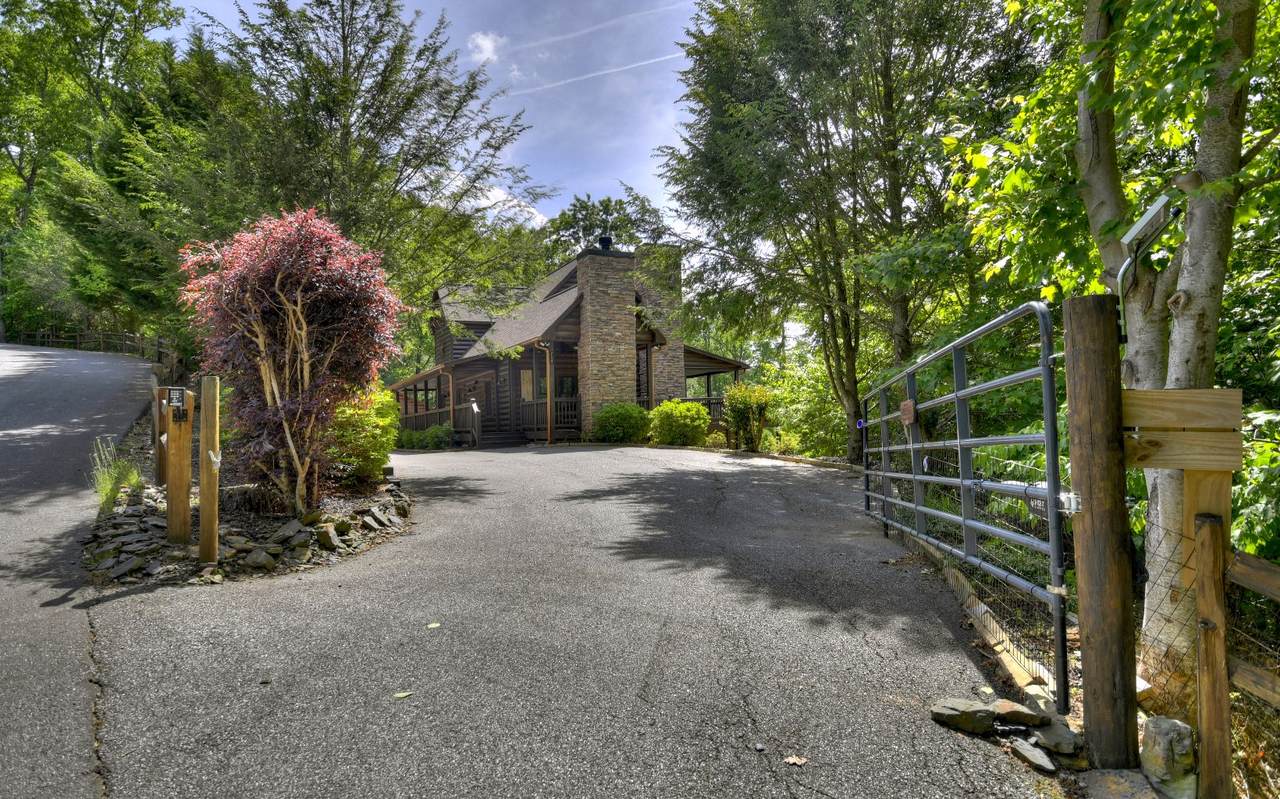 704 Laurel Creek Trail - Photo 1