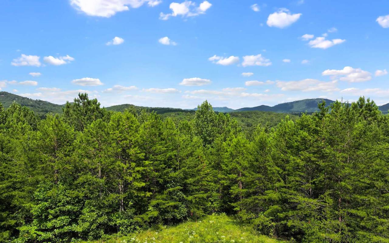 Lot 1 North View Drive - Photo 1