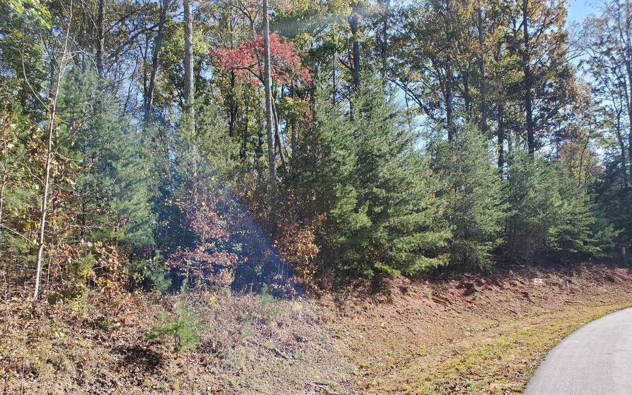 12 Chimney Top Trail - Photo 1