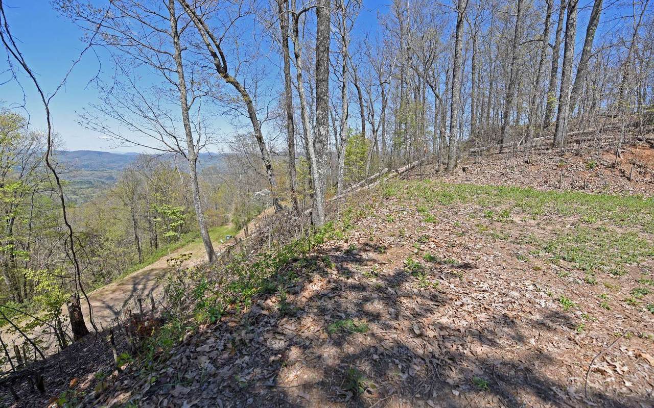 LOT49 Timberwood Dr - Photo 1