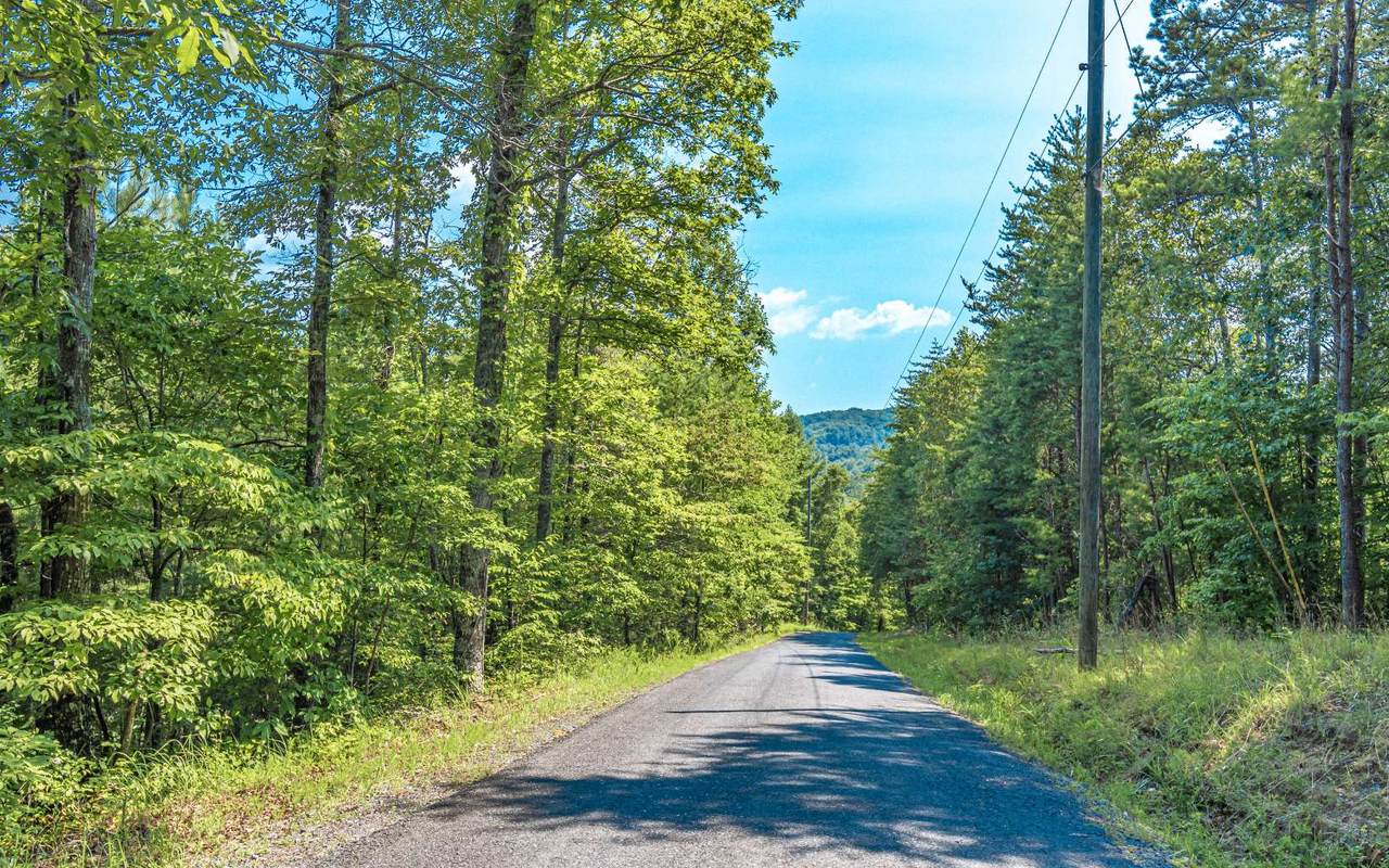 1.77A Long Branch Road - Photo 1