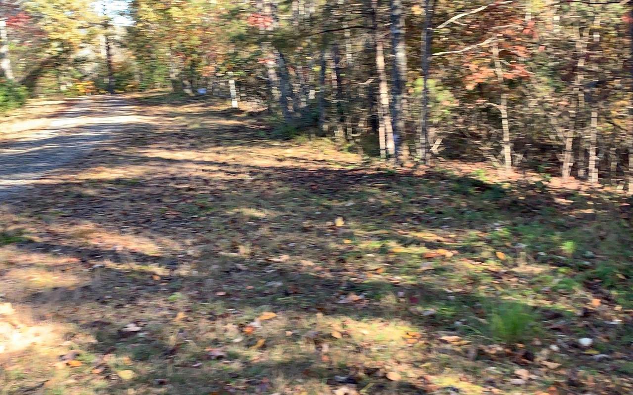 2B Ashley Trail - Photo 1