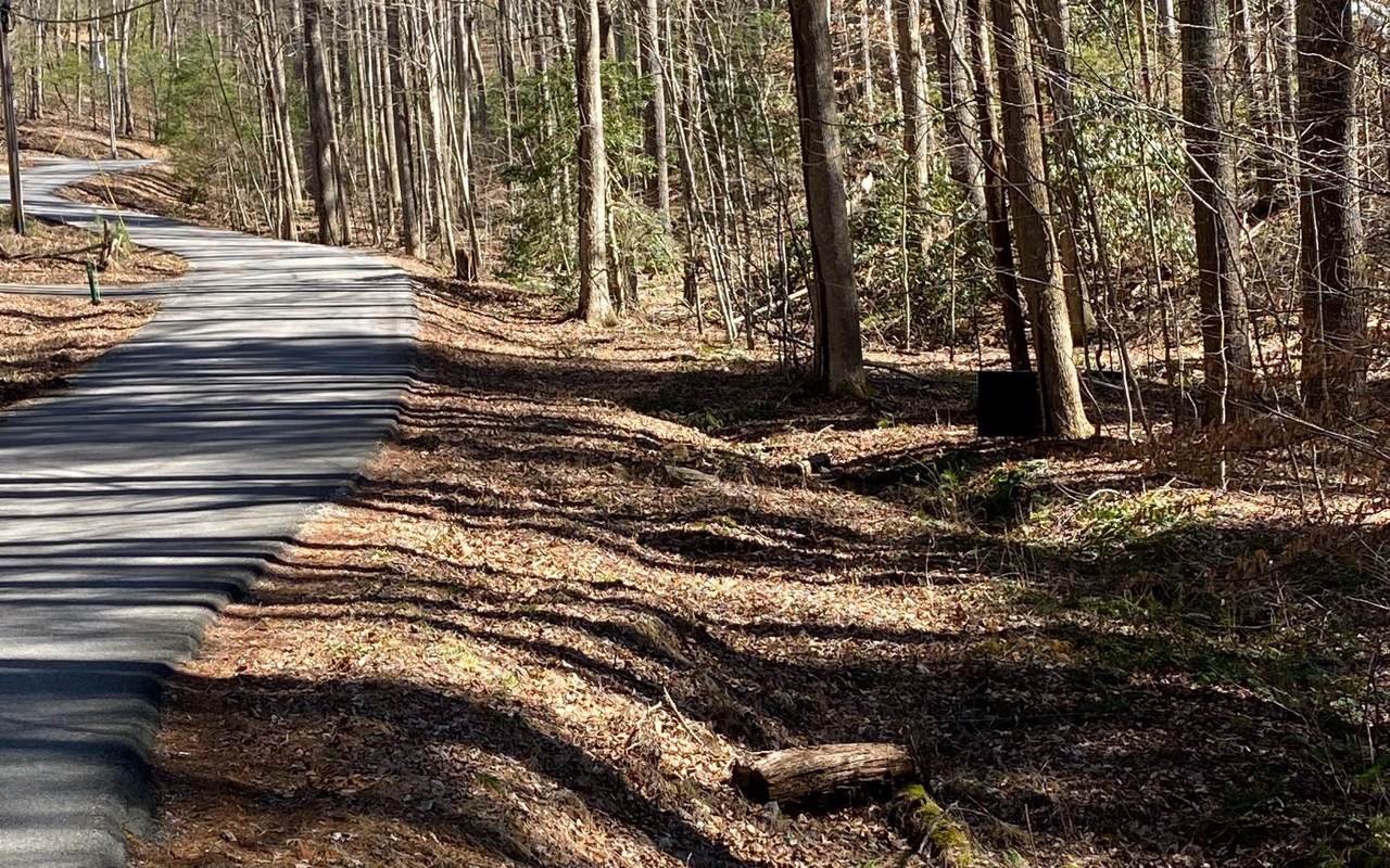 3.81A Flat Rock Gap Rd - Photo 1