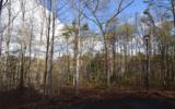 Lot 26 Coosa Bend Drive - Photo 1
