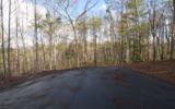 Lot 26 Coosa Bend Drive - Photo 4