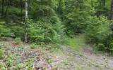 TR 2 Cindy Cove Road - Photo 5