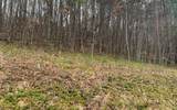 LOT20 Wolf Ridge Lane - Photo 10
