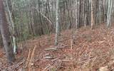 LOT20 Wolf Ridge Lane - Photo 12