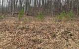 LOT20 Wolf Ridge Lane - Photo 14