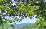 24 Mountain Knoll Lane - Photo 3