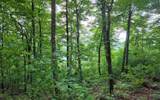 25 Oak Ridge North - Photo 4