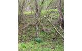 LT 10 High Meadows - Photo 13
