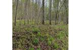 LT 10 High Meadows - Photo 15