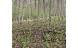 LT 10 High Meadows - Photo 16