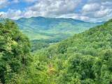 Lot 32 Shiloh Trail - Photo 10