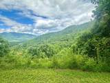 Lot 32 Shiloh Trail - Photo 12