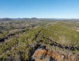 538 Mountain Laurel Ridge - Photo 8