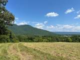 260 Old Deer Head Cove - Photo 12