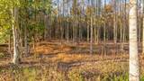 Lot 23 Bravo Way - Photo 4