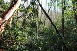 Tract B Highland Cove - Photo 33