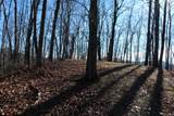 Tract B Highland Cove - Photo 46