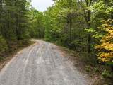 Lot 20 Crabapple Lane - Photo 10
