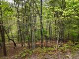 Lot 20 Crabapple Lane - Photo 3